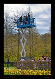 Keukenhof Hollandia 020